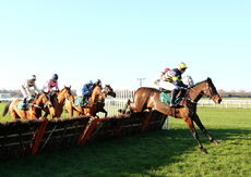 LPS Mares' 'NH' Novices' Hurdle.
