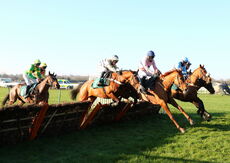 LPS Mares' 'NH' Novices' Hurdle.
