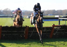 LPS Mares' 'NH' Novices' Hurdle.