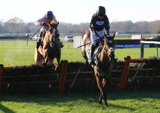 LPS Mares' 'NH' Novices' Hurdle.