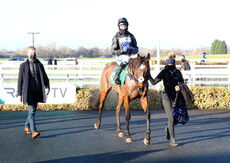 LPS Mares' 'NH' Novices' Hurdle.