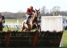 Cheltenham Preview Handicap Hurdle