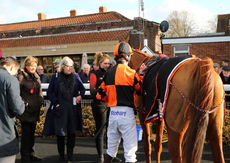 Cheltenham Preview Handicap Hurdle