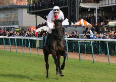 Agetur Kingmaker Novices' Chase.