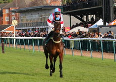 Agetur Kingmaker Novices' Chase.