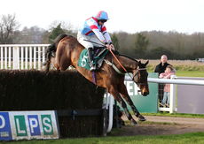 Rouge Vif (Gavin Sheehan)