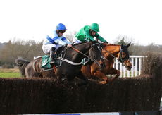 Agetur Kingmaker Novices' Chase.