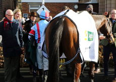 Agetur Kingmaker Novices' Chase.