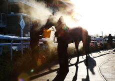 LPS Conditional Jockeys' Veterans' H'cap Chase.