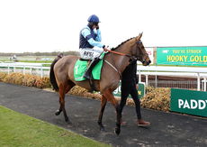 Paddy Power Mares' Hurdle