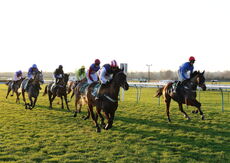 JonJo O'Neill Racing Club 'NH' Flat Race.