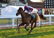 JonJo O'Neill Racing Club 'NH' Flat Race.
