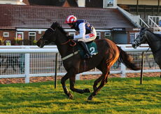 Bowtogreatness (Daryl Jacob)