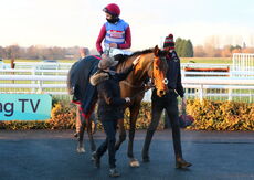 JonJo O'Neill Racing Club 'NH' Flat Race.