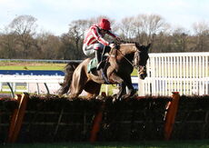 Pertemps Network Novices' H'cap Hurdle