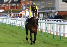 Edward Courage Cup H'cap Chase.