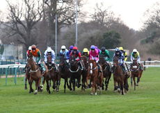 Racing TV NH Flat Race