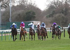 Racing TV NH Flat Race