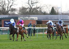 Racing TV NH Flat Race