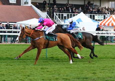 Racing TV NH Flat Race