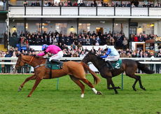 Racing TV NH Flat Race
