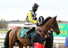 McCoy Contractors Hampton Novices' Chase