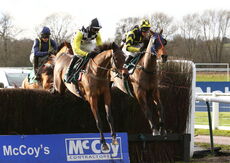 McCoy Contractors Hampton Novices' Chase