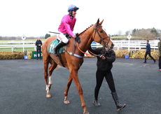 Racing TV NH Flat Race