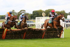 Racing Tv Novices' Hurdle
