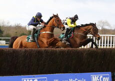 McCoy Contractors Hampton Novices' Chase