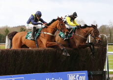 McCoy Contractors Hampton Novices' Chase
