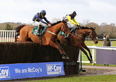 McCoy Contractors Hampton Novices' Chase