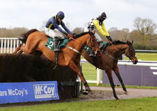 McCoy Contractors Hampton Novices' Chase
