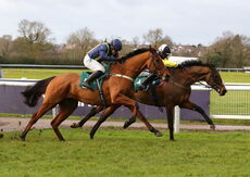 McCoy Contractors Hampton Novices' Chase