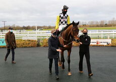 McCoy Contractors Hampton Novices' Chase