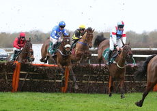 British Stallion Studs EBF 'NH" Novices Hurdle.