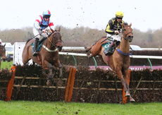 British Stallion Studs EBF 'NH" Novices Hurdle.