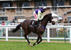 Ballymore Leamington Novices' Hurdle