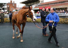 British Stallion Studs EBF 'NH" Novices Hurdle.