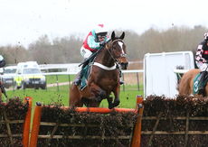 Racing Post Juvenile Hurdle