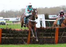 Grand Roi (Nico de Boinville)