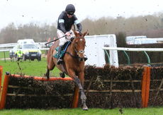 Racing Post Juvenile Hurdle