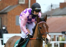 Notachance (Tom Cannon)