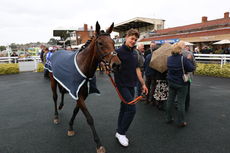 Racing TV Handicap Hurdle.