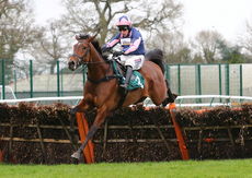 Emmas Joy (Harry Skelton)