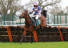 Emmas Joy (Harry Skelton)