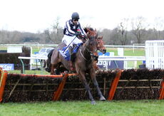 Imperial Alcazar (Paddy Brennan)