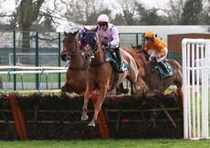 Shipstone Family Celebration Handicap Hurdle.