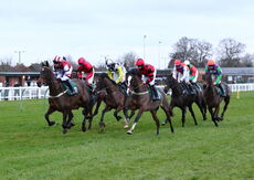 McCoy 'Newcomers' NH Flat Race.