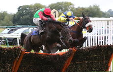 Racing Tv Novices' Hurdle